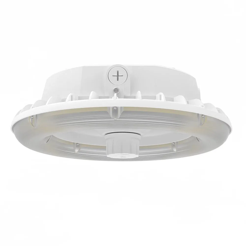 CPSL100 Canopy  Light